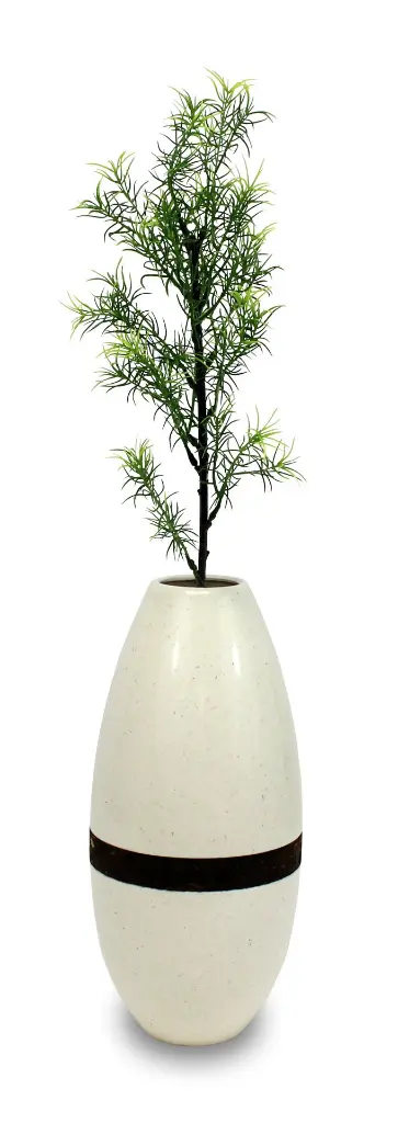 Sapling In White Urn.webp