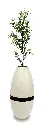 Sapling In White Urn.webp