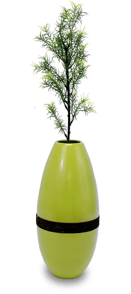 Sapling In Green Urn.webp