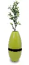 Sapling In Green Urn.webp