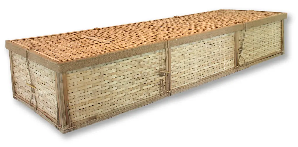 Simple Bamboo Container Closed.webp