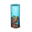 Scattering Tube, Coral Reef