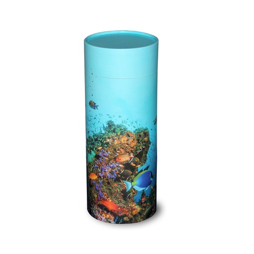 [STCR] Scattering Tube, Coral Reef